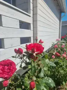 Веселовка Парк - 95