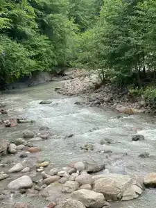 Целебные воды - 18