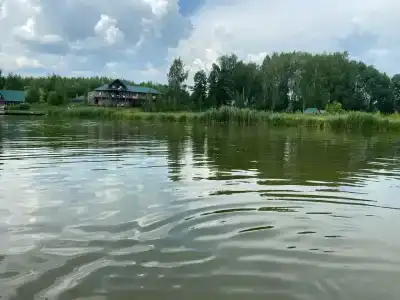 Голден Фиш - 7