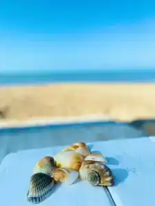 Гостевой дом на Коралловой 2 - 2