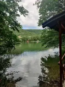 Родное - 32