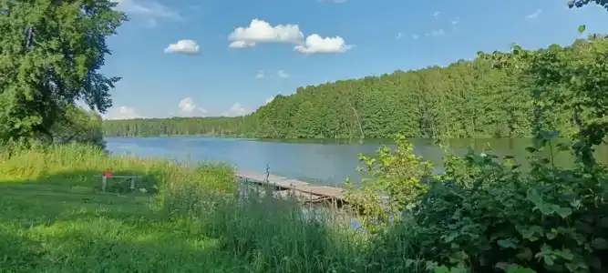 Веселый Роджер - 42