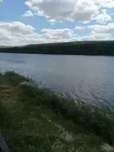 Ласточка - 11