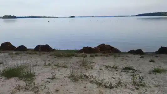 Лесное озеро - 71