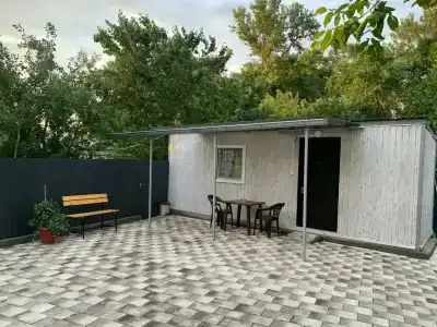 Золотая рыбка - 16