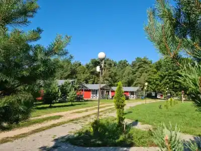Виваль - 1
