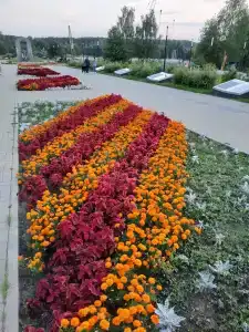 Автомобилист - 24