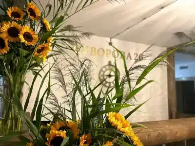 Суворова 26 - 5