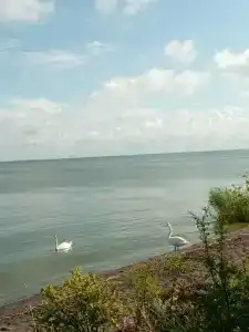 Дюны - 15