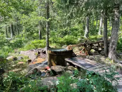 Приют Гремучий ключ - 20