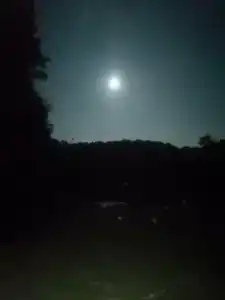 Веселый Роджер - 50