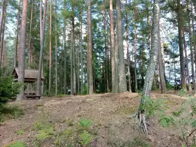 Турстоянка Ровненький борок - 29