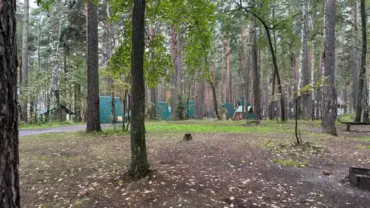 Лесная поляна - 5