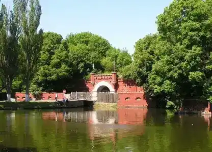 Стрекоза - 13