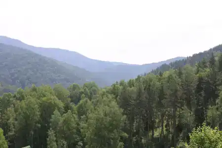 VиталиЯ - 3