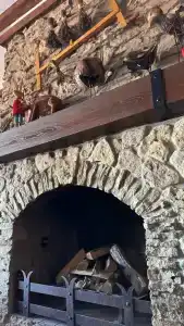 Shale Alpine House - 90