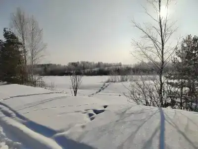 Алексеевское - 48