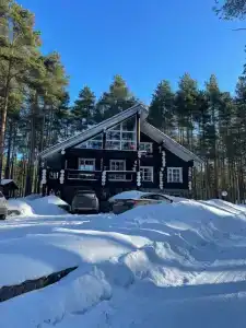 Карнавал - 79