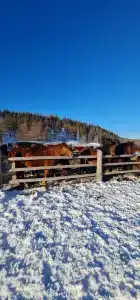 Сухов ключ - 28