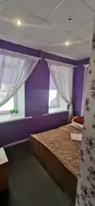Дубровский - 9