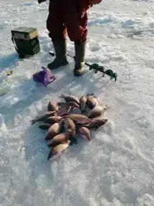 Селькин пруд - 5