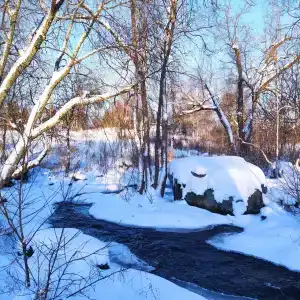 Скала - 23