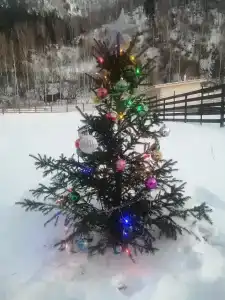 Чикмарёвых - 24