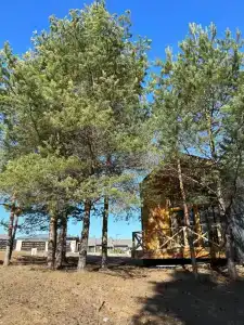 Гостевой дом Барн с видом на лес - 73