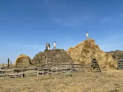 Степняк - 15