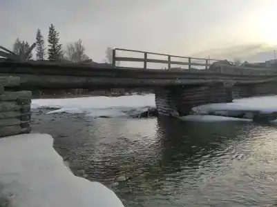 У дачи - 3