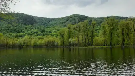 Зелёный берег - 9