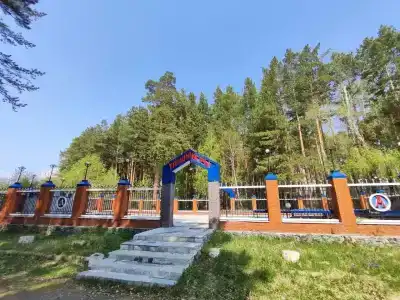 Аленушка - 51