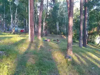 Дзержинец - 6