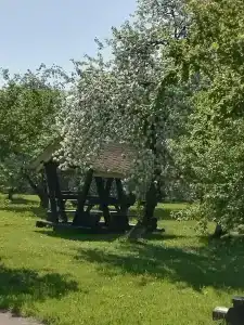 Финская деревня - 85