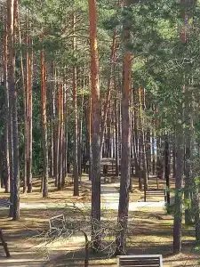 Березина - 15
