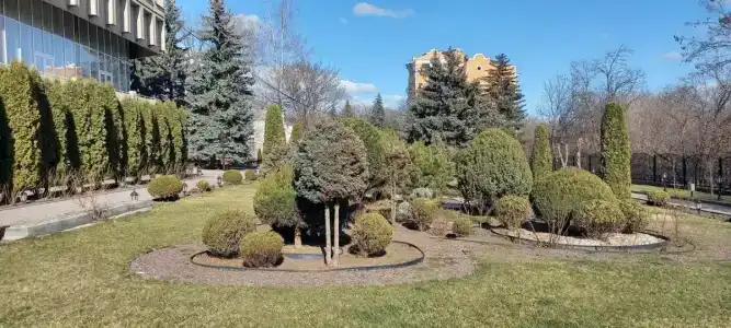 Дон - 47