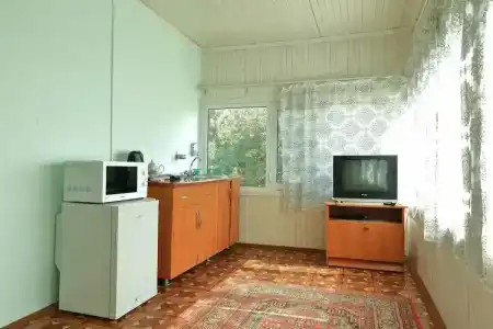 Дустлик - 2