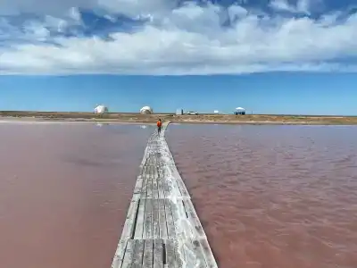 Степняк - 4