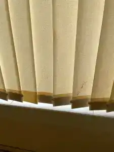 Регина Университетская - 67