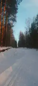 Зеленые горки - 33