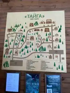 Тайга - 16