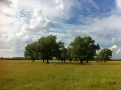 Садху - 13