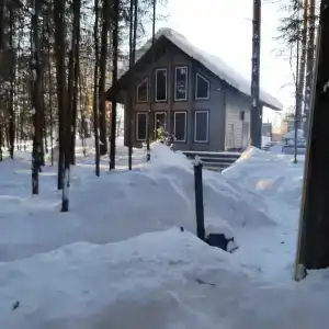 СмородинаХаус - 49