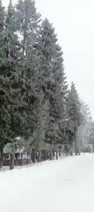 Искра - 91
