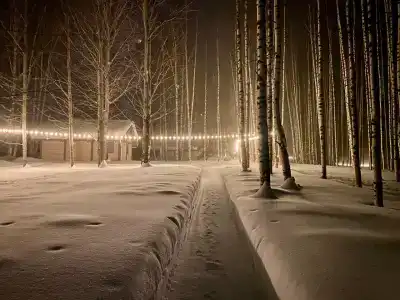 Алёшкино - 4