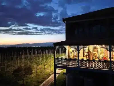 Chateau Vartsikhe - 7