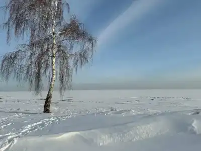 Дом у Моря - 48