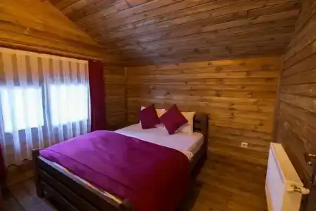 Uludag Orman Koskleri - 79