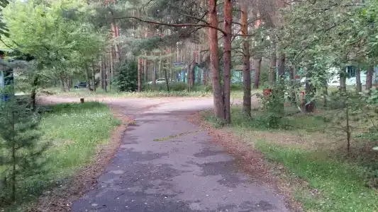 Волна - 61