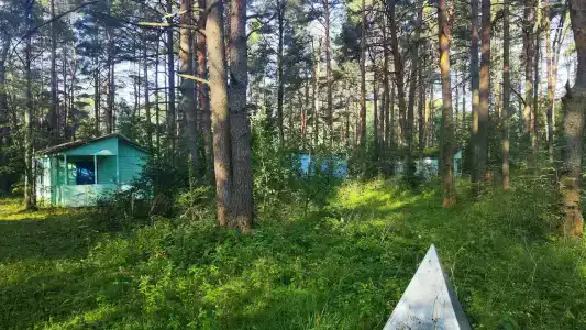 Волна - 49